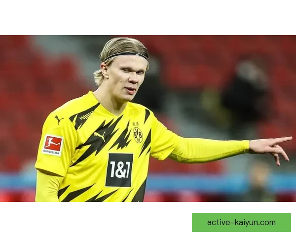 哈兰德与布吕讷青训背景分析，展示其发展潜力与竞技状态